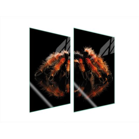 PIASTRA PROTETTIVA IN VETRO PER CUCINA 2x35x52 SPIDER (1/5)