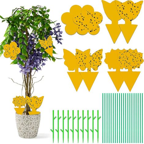 Lot de 40 pièges à mouches pour plantes en pot, panneaux jaunes, pièges à mouches à brancher pour protéger les plantes des moucherons et autres nuisibles, idéaux pour les balcons, les jardins et les i (1/5)