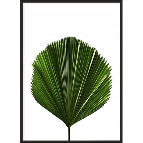 QUADRO POSTER IN CORNICE 43x33 cm Foglia P1150 (1/4)