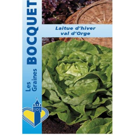 Laitue d'hiver 'Val d'Orge' le sachet de 2500 graines (3g) (1/2)