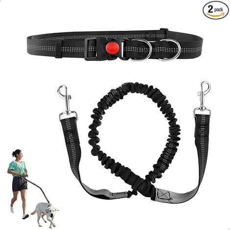 Dog Belt, Dog Leash for Running Medium and Large Dogs for Walking, Jogging with Two Handles and Elastic Leash (1/4)