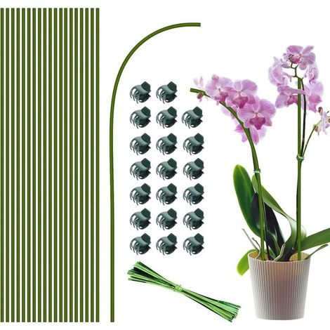 Tuteurs pour plantes, 20 pièces de 40 cm,bâtons de support pour plantes de jardin verts pliables à tige unique pour plantes d'intérieur et d'extérieur (1/5)