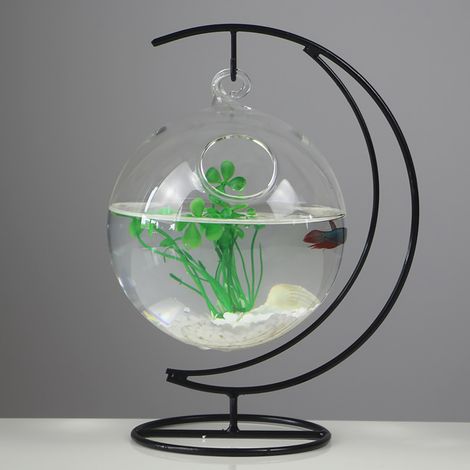 Aquarium suspendu en verre pour bureau, multifonctionnel et élégant, à poser sur une table.
