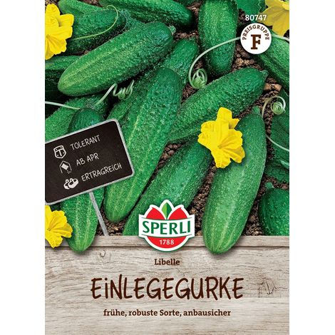 Sperli Einlegegurken Libelle F1 - Hybride - Gemüsesamen (1/2)