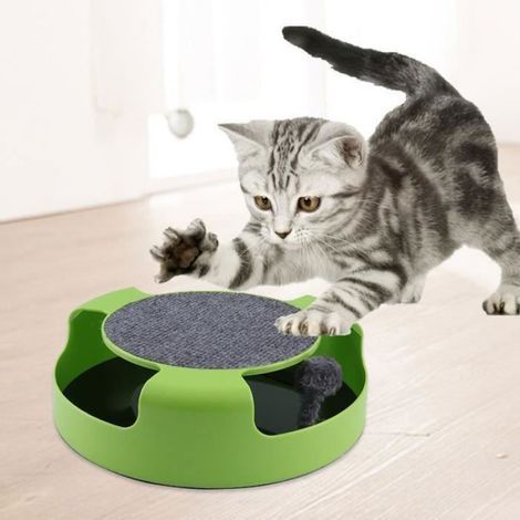 Katzenspielzeug – ZERONE – Mausefalle – Grün – ABS – Grüne Innenausstattung (1/5)