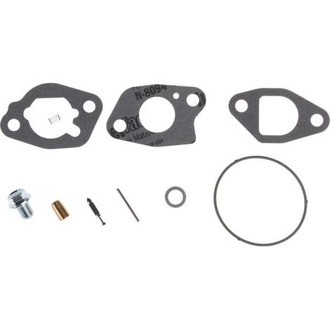 Kit revisione carburatore BRIGGS ET STRATTON 591770
