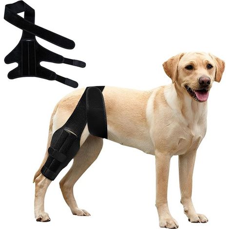 Genouillère pour chien - Noir - Protection du coude - Protection articulaire (1/5)