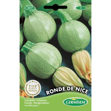 Courgette Ronde de Nice Semi di Zucchine 3 g