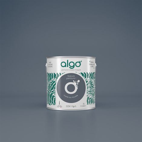 Peinture écologique Algo - Gris Visite au Musée - 5L / Satin (1/4)