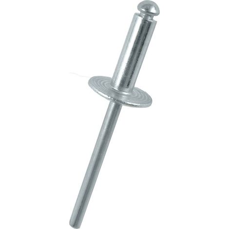JBM 10877 x 5Uds RIVET UNITAIRE 4.8X16.9MM