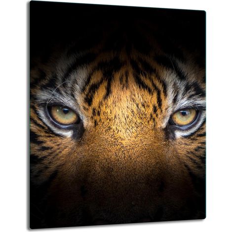 TABLERO DE MESA DE PANEL DE PLACA DE CRISTAL 40x52 TIGER (1/5)