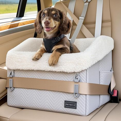 Siège Auto Chien surélevé 12,5cm - Panier Sécurisé pour Transport Chat/Chien avec Housse Lavable et Boucles (≤12kg, Arrière/Passager) (1/5)