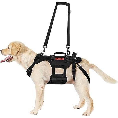 Harnais de Levage pour Chien, Invictus Harnais pour Chien handicapé Sangle réglable, 3 poignées et Leggings arrière Amovibles - Noir L