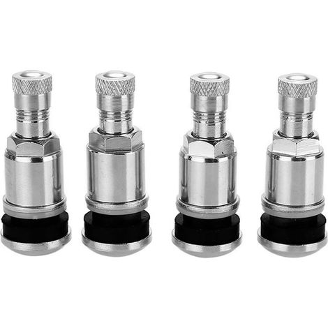 Lot de 4 valves de Jante universelles en métal argenté, valves de Pneu en Acier pour Jantes en Alliage, Valve de Roue de Voiture en métal 11 mm (1/5)