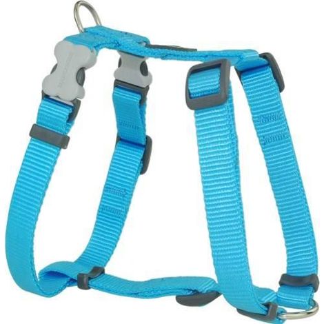 Harnais chien réglable Red Dingo Basic turquoise Taille : T3