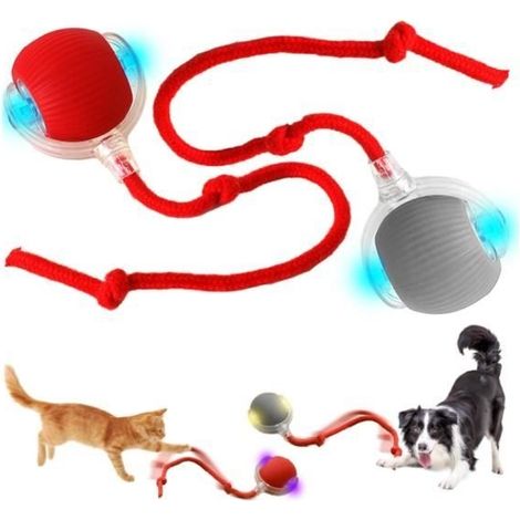 Jouet Interactif pour Chat, Pet Smart Rolling Ball, Balle Interactive pour Chat, Boule Électrique Automatique Rechargeable, Electric (1/4)