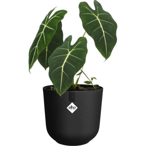 VASO JAZZ ROUND 26CM LIVING BLACK (1/4)