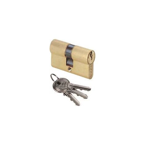 Cylindres à insert en forme Cisa 0G300 - 100 mm décentralisé (40x60) 0G300250