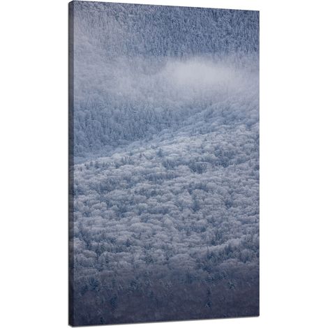 Leinwanddruck Natur Wald im Schnee 70x120 cm