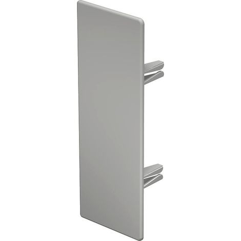 OBO Bettermann Pieza final 60x170mm cloruro de polivinilo blanco puro RAL 9010, 6193331
