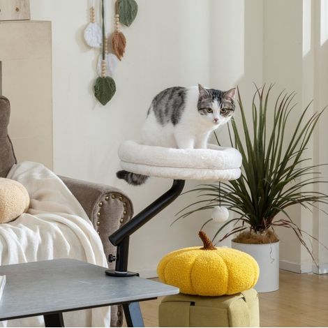 Katzen-Schreibtischbett mit 360°-Drehung, höhenverstellbar, Cremeweiß, OKMYHOME (1/5)