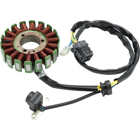 Estator de magneto, componentes eléctricos de alta calidad, dimensiones adaptadas a los modelos Kymco, compatible con Kymco Maxxer 300 y otros, rendimiento de salida eléctrica óptimo, conforme a las n (1/5)