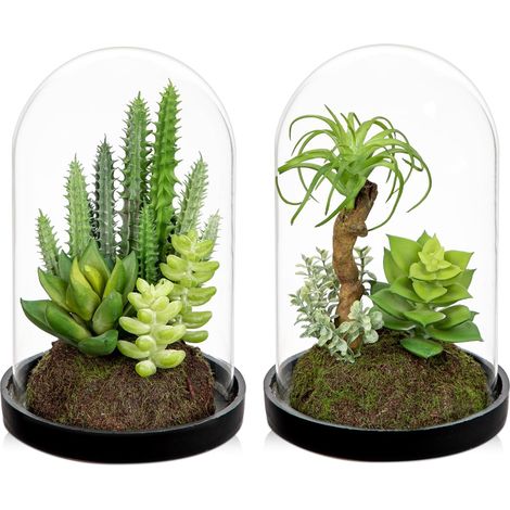 Lot de 2 plantes succulentes artificielles en verre transparent de 15 cm pour décoration d'intérieur, bureau, étagère, centre de table (1/5)