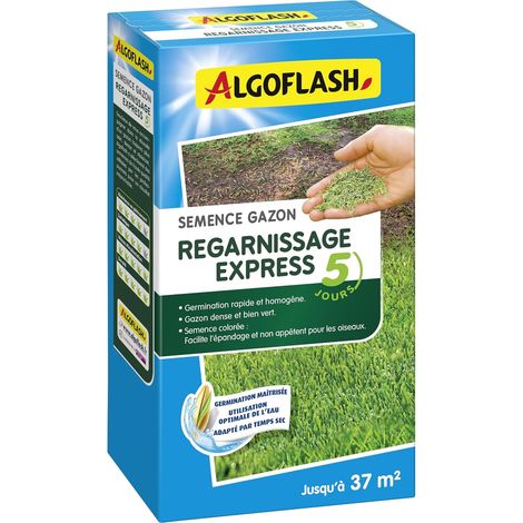 Semences Gazon Regarnissage, Germination Express 5 Jours, 800 g (1/5)