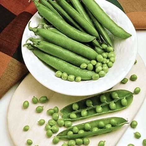 90 graines de pois, graines de légumes de jardin, taux de germination élevé, adaptées à la plantation dans les jardins/jardins potagers/fermes. (1/4)