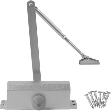 Ferme-porte hydraulique automatique Alliage d'aluminium Grande capacité de charge Silencieux Esthétique pour portes de magasin (1/5)