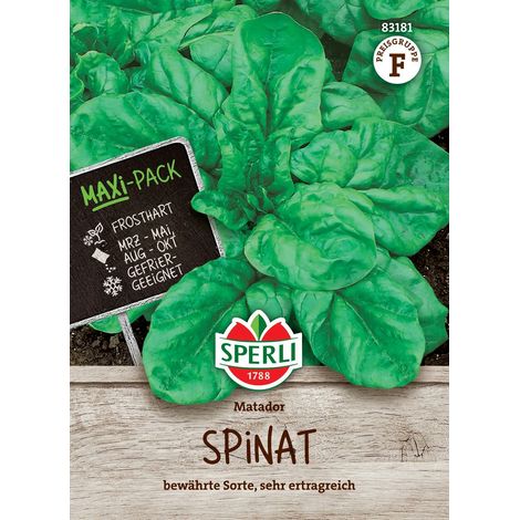 Sperli – Épinard Matador – Graines de légumes, sachet MaxiPack de 50 g, pour env. 35 à 40 mètres linéaires (1/2)