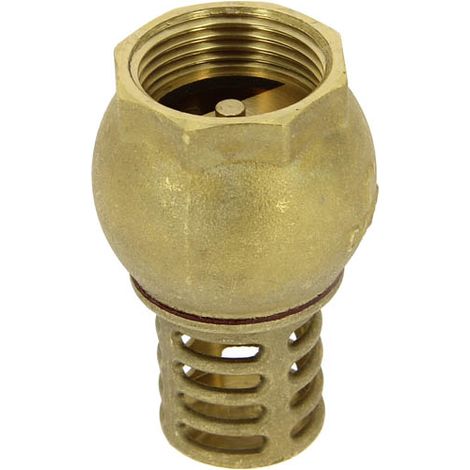 Guareski – Raccord laiton 1" femelle – Filetage plomberie 26x34 – Crépine eau grenaillée – Pour chantiers humides