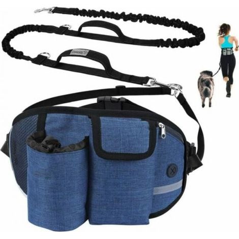 Hands-free leash for dogs up to 110kg – Shock absorption – Reflective stitching – 250cm length for jogging and walking (1/5)
