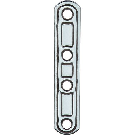 PIASTRA 163/IN DIRITTA INOX 4 FORI 100 MM- ALDEGHI LUIGI SPA- 20,0 pz