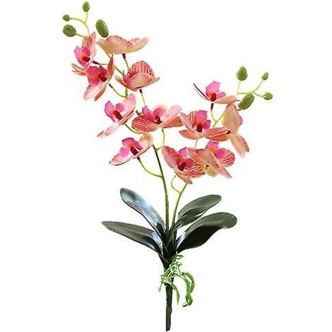 Fleur artificielle simulant une orchidée colorée en plastique, sans arrosage, pour la décoration intérieure.rose rouge (1/5)