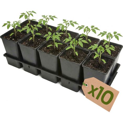 Garronda Lot de 10 Kit de Semis Plateau 10 Trous avec Godets 1,7 L - Plateau de Semis Plastique PP Réutilisable Serre Jardin Intérieur Extérieur Horticulture Repiquage Culture Plantation GD-0208 Noir