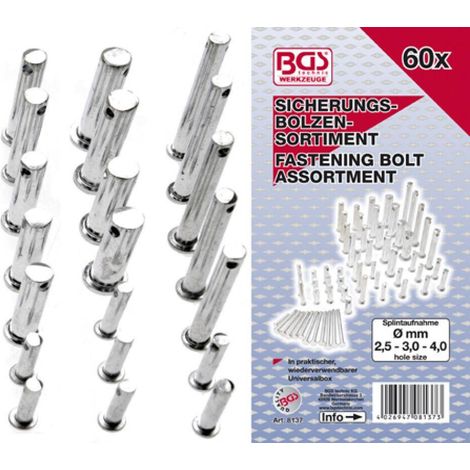 BGS - Sicherungsbolzen-Sortiment 60-tlg. - 8137