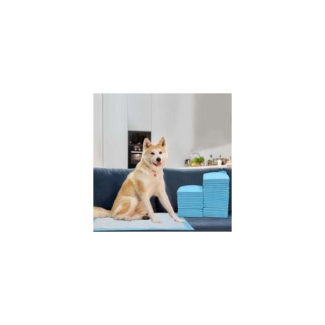 40 tappetini assorbenti per l'addestramento dei cuccioli, tappetini igienici per cani, 60x60 cm