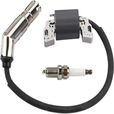 Bobine d'allumage haute tension compatible avec 715231 595304 795315 592841 avec bougie d'allumage