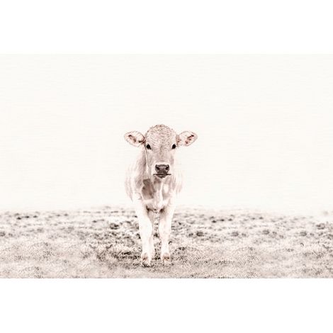 Papier peint panoramique blanc et beige Tapisserie panoramique vache réaliste Papiers peints panoramiques animaux pour salon (1/2)