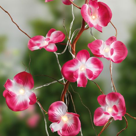 Guirlande lumineuse LED d'intérieur avec orchidées roses, 10 LED blanc chaud, longueur illuminée 1,35 m, guirlande lumineuse à piles, décoration lumineuse florale pour la Saint-Valentin 300178 (1/5)