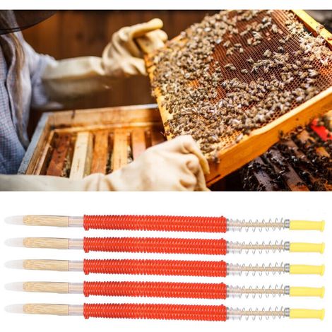 25 pièces Aiguilles de greffe de larves d'apiculture Outil d'élevage de reine des abeilles Équipement d'apiculture,