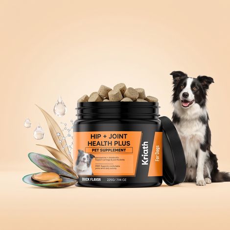 Comprimés à croquer à formule douce pour chiens, favorisant la souplesse et le confort articulaires. Usage quotidien – 225 g (1/5)