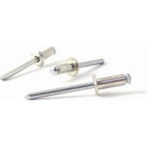 REMACHE FIJ FLOR 4,8X45MM C/ALOM ALU ALUM BRALO 100 PZ (1/4)