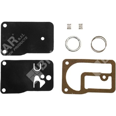 Kit de reparación para carburadores BRIGGS & STRATTON 393397 - 000094