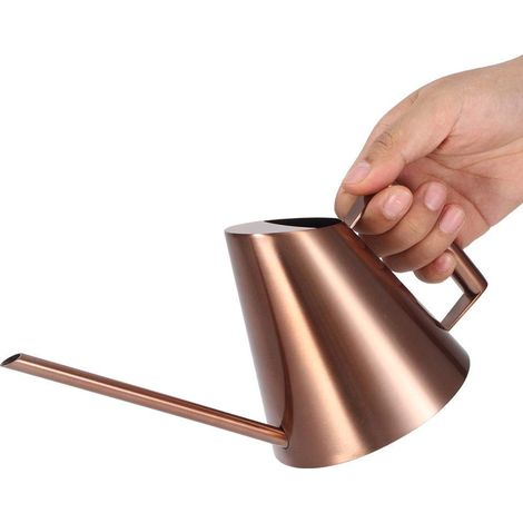 Annaffiatoio domestico in acciaio inox – pianta verde fiore – bollitore – bronzo