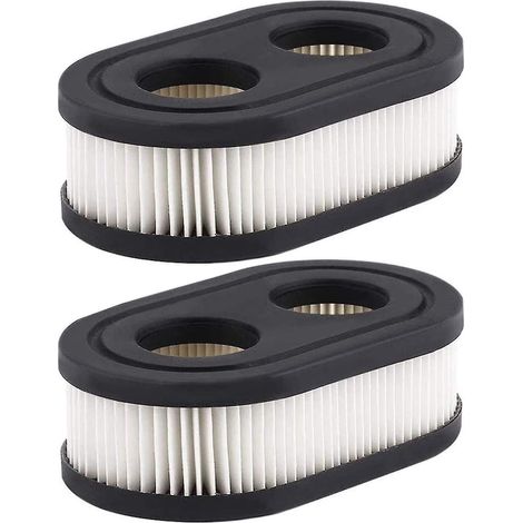 Luftfilter für Briggs & Stratton Rasenmähermotor 798452 593260-- (1/5)