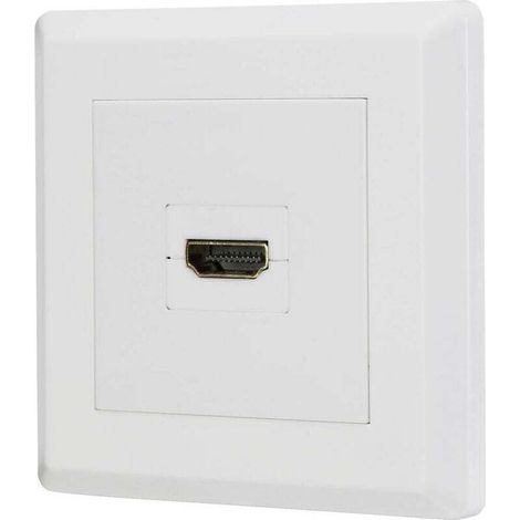 Adaptateur HDMI Femelle-Femelle Blanc avec Contacts Dorés – Modèle RF-4724906 Y851322 (1/4)