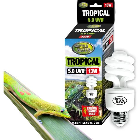 REPTILE NOVA 5.0 UVB 13W - Lámpara fluorescente para reptiles tropicales  UVA + UVB (1/4)