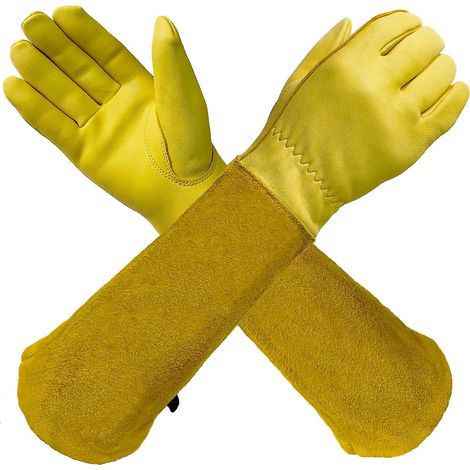 une Paire De Gants De Jardinage Jaune L Anti-pines Pour La Taille Des Rosiers (1/5)
